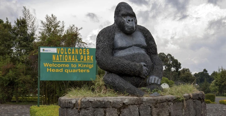 Artwork at the entrance to Volcanoes National Park dedicated to the gorillas of Rwanda