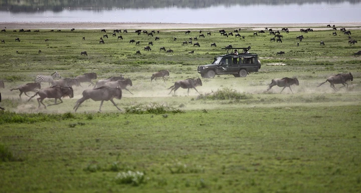 The Great Migration 