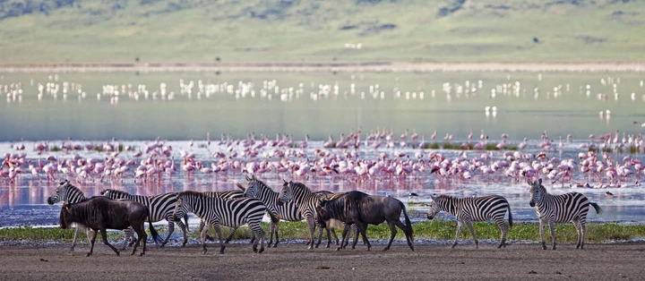 Amazing sights to be seen when at Ngorongoro crater, Tanzania