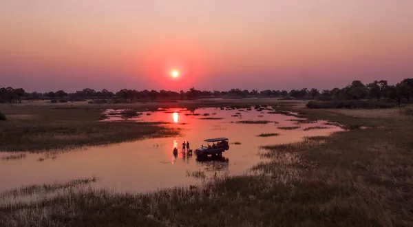 Experience your dream African safari in Botswana