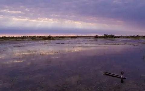 Safari in One of the Most Iconic Destinations