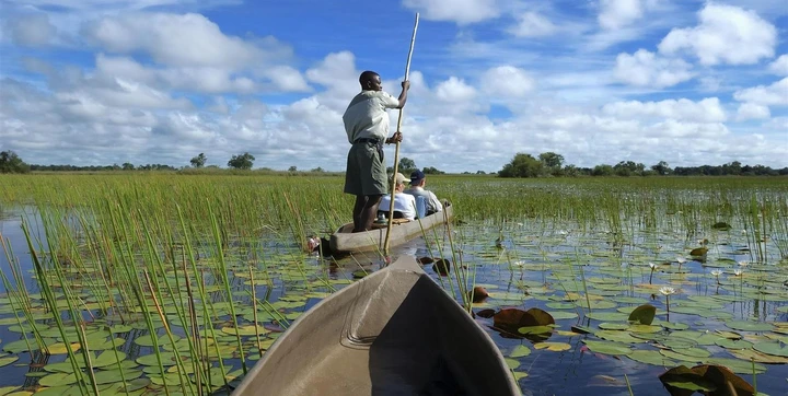 Traversée de la paisible rivière Chobe à bord d'un Mokoro