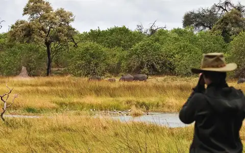Toute la beauté de l'Afrique australe en un voyage