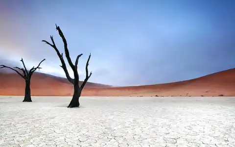 Namibie du désert à l'océan