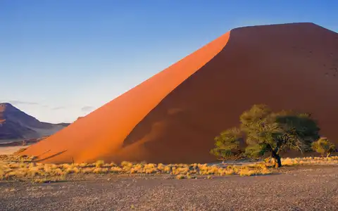 Eine Safari im Land der Kontraste