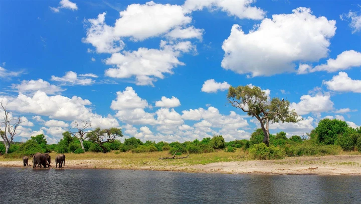 Picture perfect views of wildlife and landscapes in Caprivi, Namibia