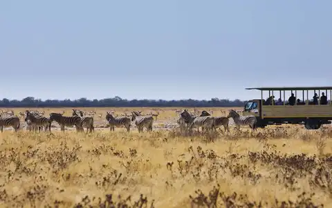 Les incontournables de Namibie en 11 jours