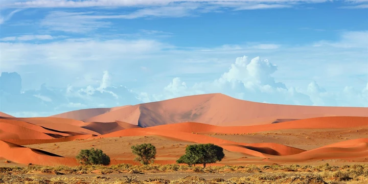 Sand dunes in the Namib desert