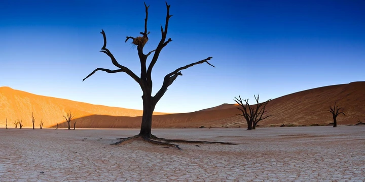 Les dunes d'argile du Namib créent des paysages irréels