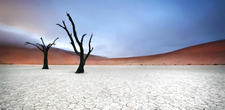 La terre craquelée et les arbres pétrifiés de Sossusvlei