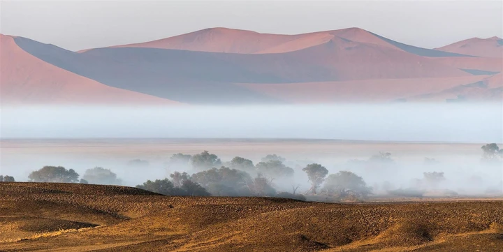 Les petits matins brumeux donnent une touche encore plus magique au paysage