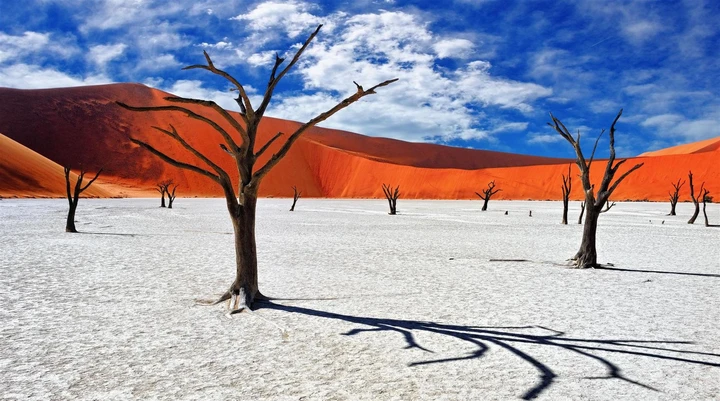 Toutes les couleurs sont intenses à Sossusvlei