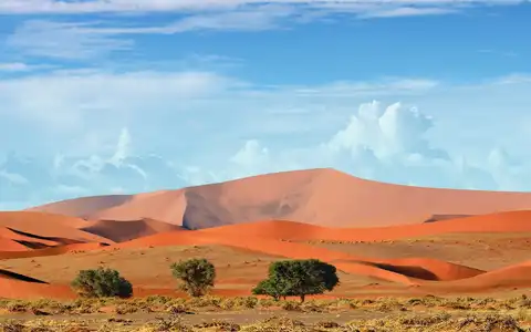 Uma seleção de pérolas namibianas