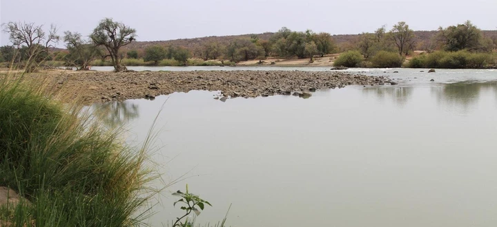 A lush watering hole in Kunene River