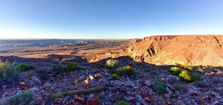 Une végétation typique du karoo pousse aux abords du Canyon