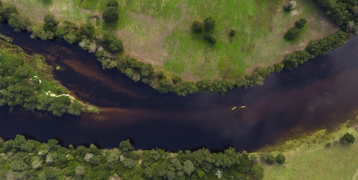 Canoe along the iconic Knysna river