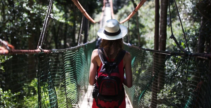 Visit the world's first free-roaming primate sanctuary, Monkeyland
