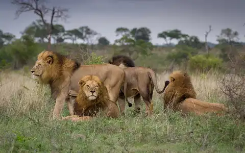 Eletrizantes destinos da África Austral