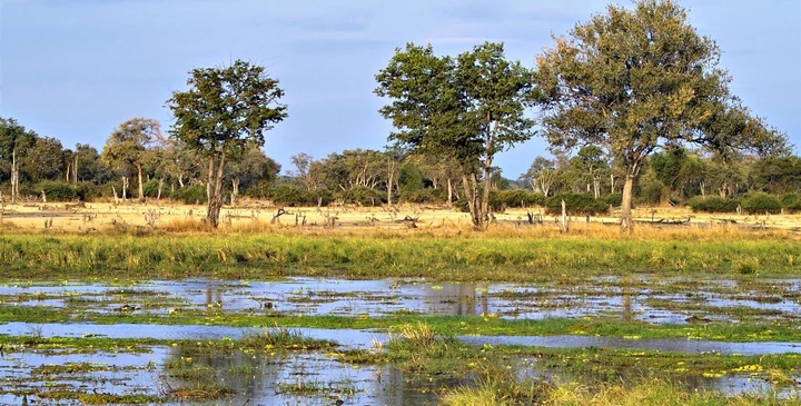 Paysages dans le Parc National South Luangwa en Zambie, Vallée de Luangwa
