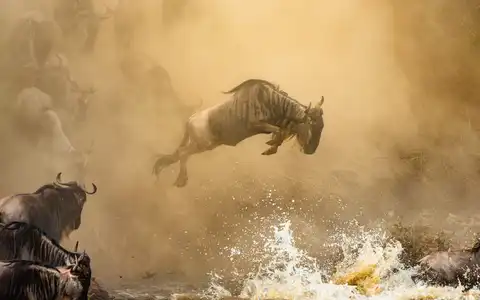 Ngorongoro, Serengeti and Zanzibar Tour