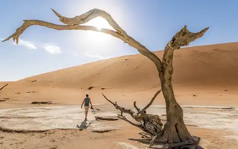 Self-Drive Tour Through Namibia and Botswana