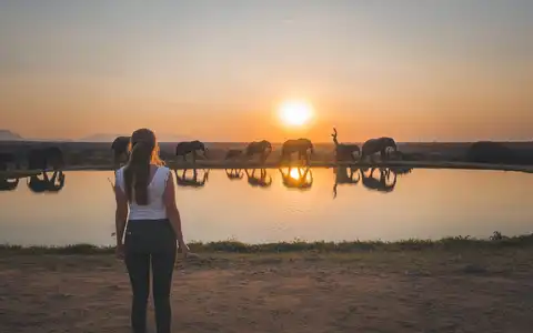 Adventurous Cape Town and Kruger Park Tour