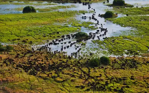Explore Delta, Victoria Falls & Luxury Railway Tour