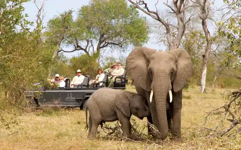 Cape Town, Kruger and Victoria Falls Tour