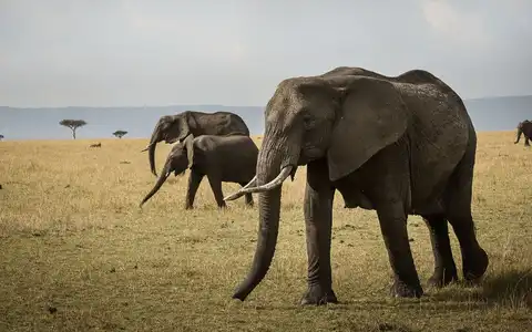 Viaje por Tanzania y Kenia 