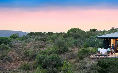 Cape Town to Eastern Cape Safari Tour