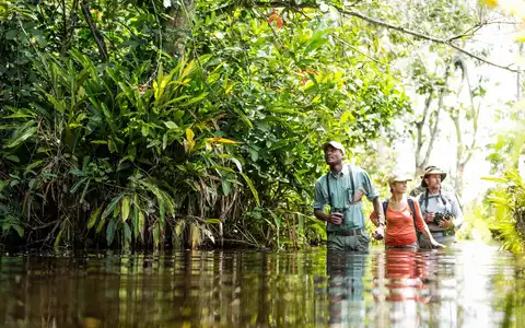 Congo's Pristine Rainforest Tour