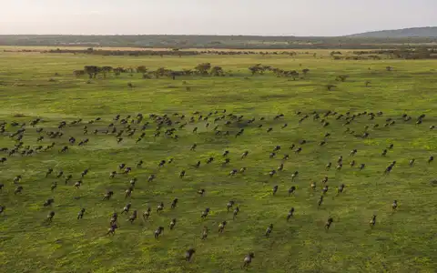 Best of Tanzania and the Great Migration Tour