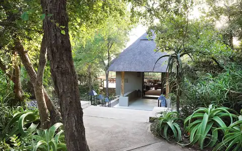 Londolozi Pioneer Camp