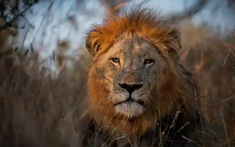 Adventurous Highlights of Southern Africa Tour