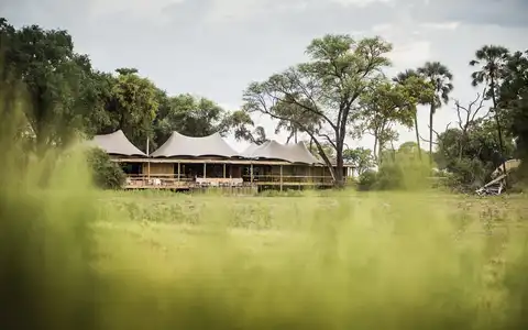 Mombo Camp