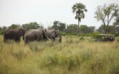 Classic Southern African Safari Tour