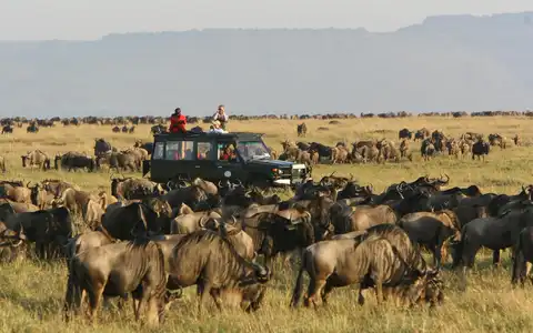 Classic East African Safari Tour