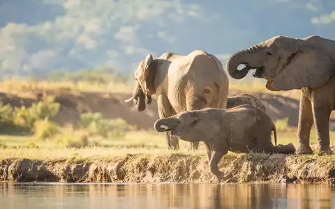 Best of Zambian Adventure Tour