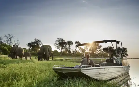 Adventurous Safari in Moremi and Okavango