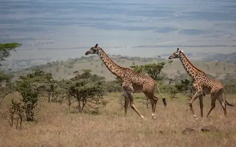 Volcanes y selvas en Tanzania