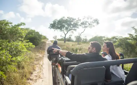 Luxury Southern Africa Safari Experience