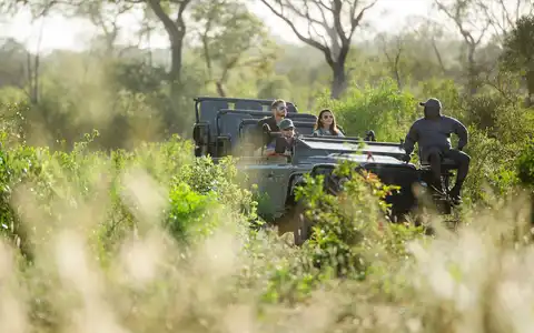 A Luxury Southern Africa Honeymoon Tour