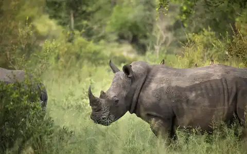 Cape, Kruger and Mozambique Tour TEST