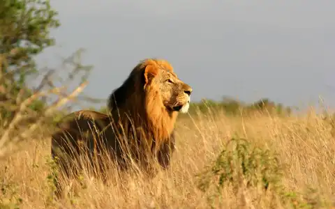 Kenia como nunca lo ha visto