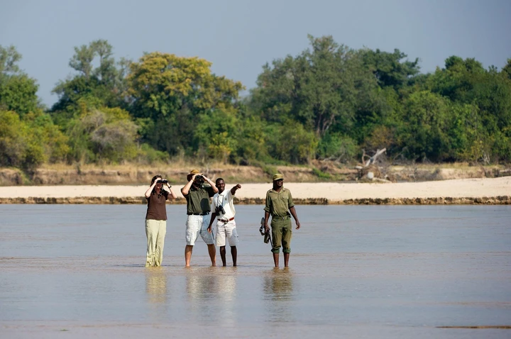 Randonnées guidées au coeur de la brousse, Vallée de Luangwa
